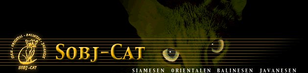Sobjcat- Augen
